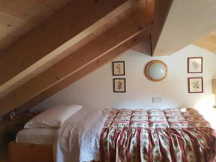 "Fresia" Chalet Turistico A Fisto Leilighet Spiazzo  Eksteriør bilde
